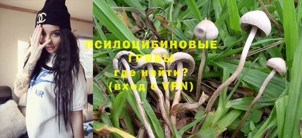гидропоника Белоозёрский