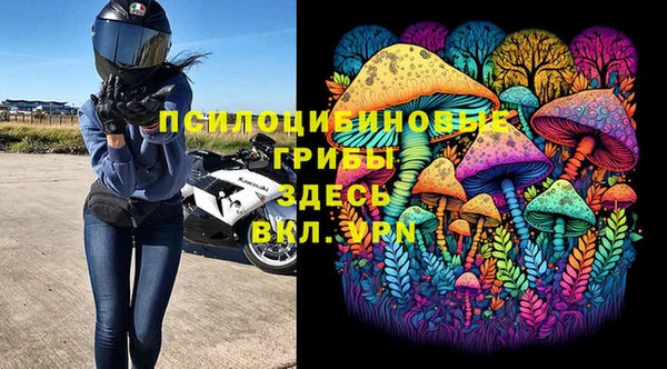 а пвп мука Белокуриха