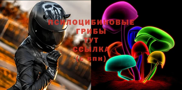 гидропоника Белоозёрский
