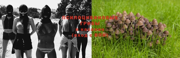 а пвп мука Белокуриха